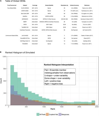 Perspectives on Digital Elevation Model (DEM) Simulation for Flood Modeling in the Absence of a High-Accuracy Open Access Global DEM